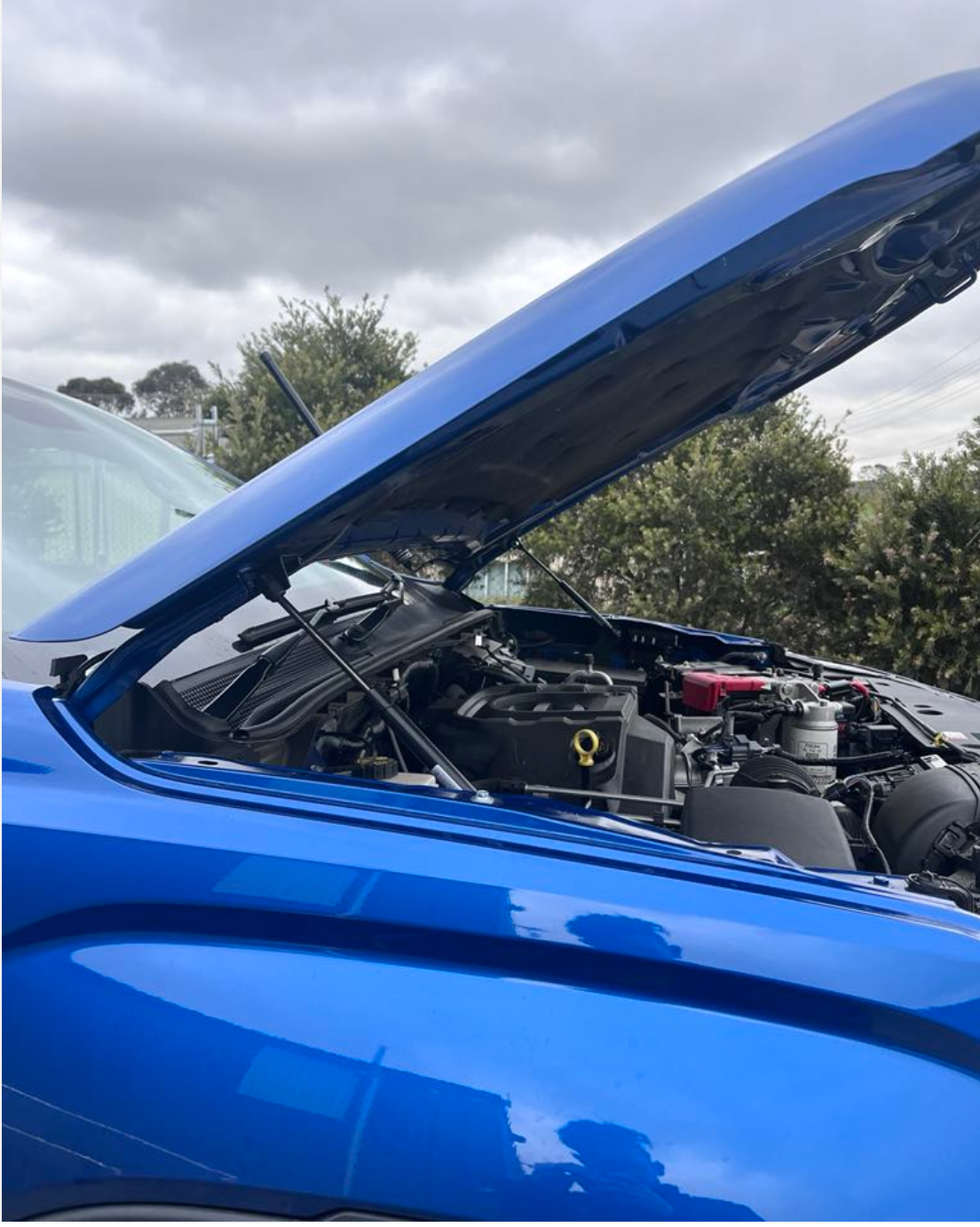 VW Amarok 2023+ Bonnet Strut Kit